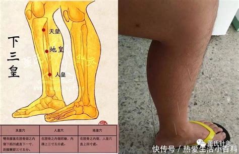 下三皇穴位|三皇的准确位置图和作用